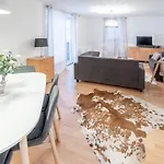 Schmitten & Cityxpress Apartment 1 And 2